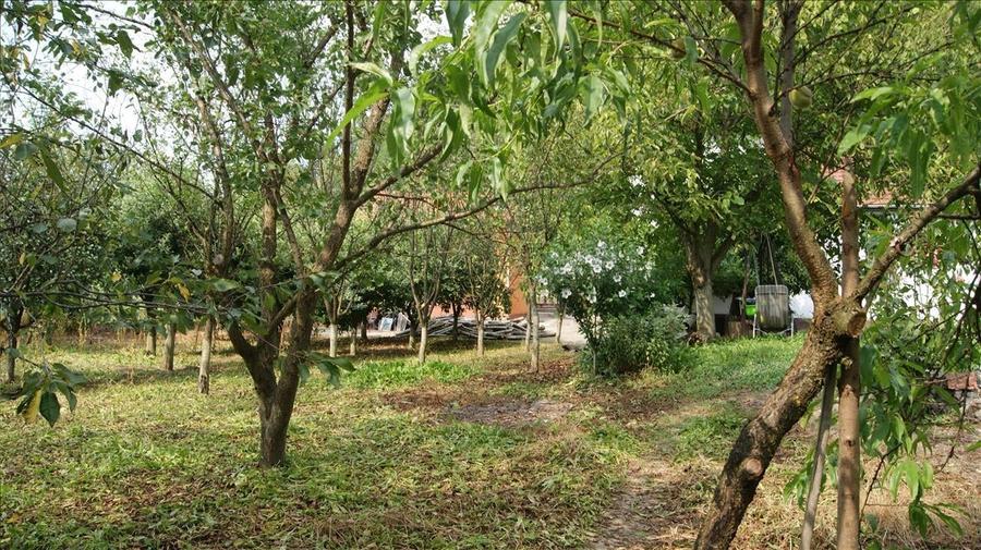 Casă individuală cu 6 camere cu Canalizare în Est