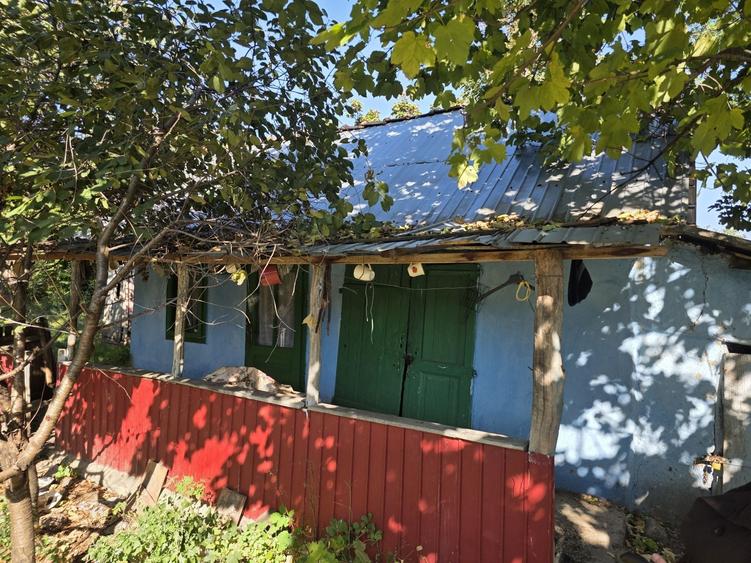 Casă cu 2 camere în Bursuci