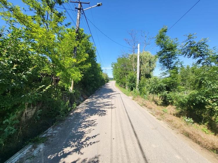 Teren de 771 mp, în Ciurea