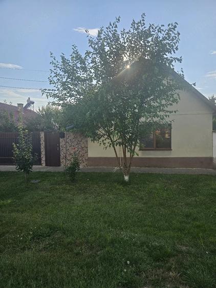 Casă cu Teren 1700 Mp în Grabaț