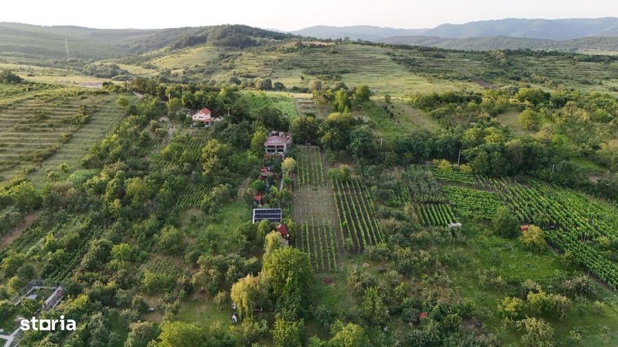 Casă cu 4 camere cu Teren 1568 Mp în Aleșd