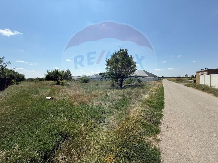 Teren Construcții intravilan de 5000 mp, în Tamași