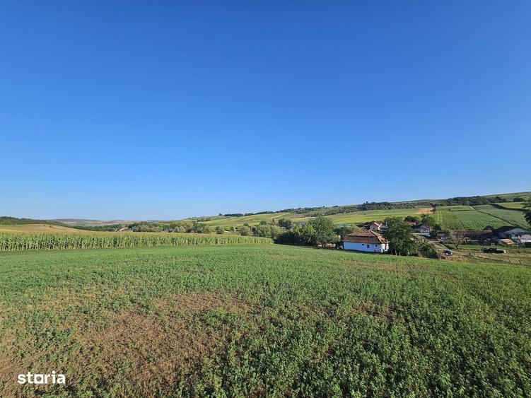 Casă cu 4 camere în Valea
