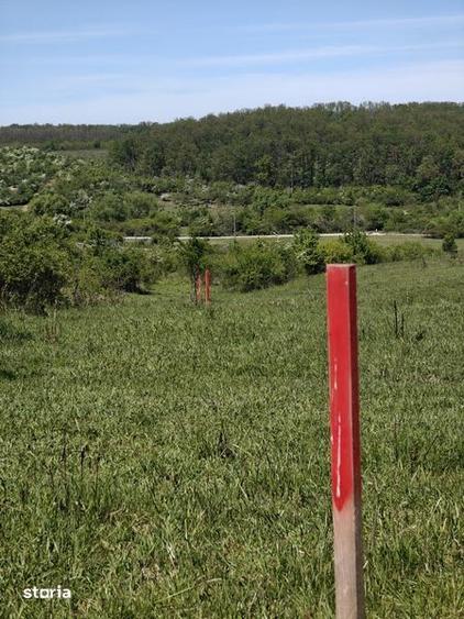 Teren de 5000 mp, în Calea Aradului