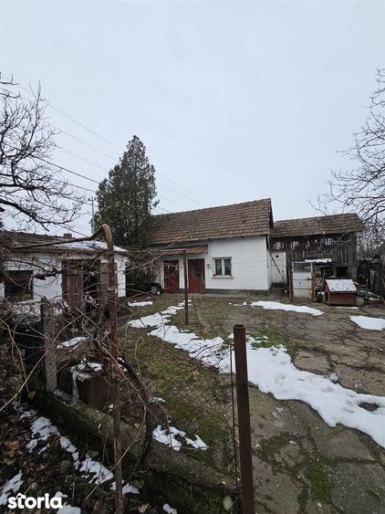 Casa Uileacu de Cris - 7