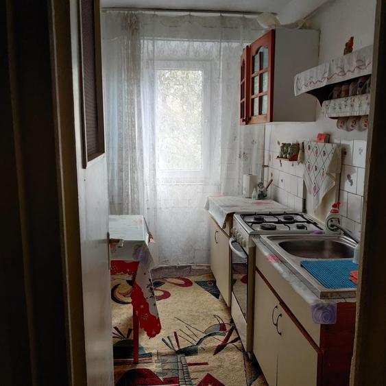 Apartament cu 2 camere semidecomandat în Viziru 3