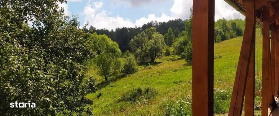 Casă cu 4 camere cu Teren 8000 Mp în Vale