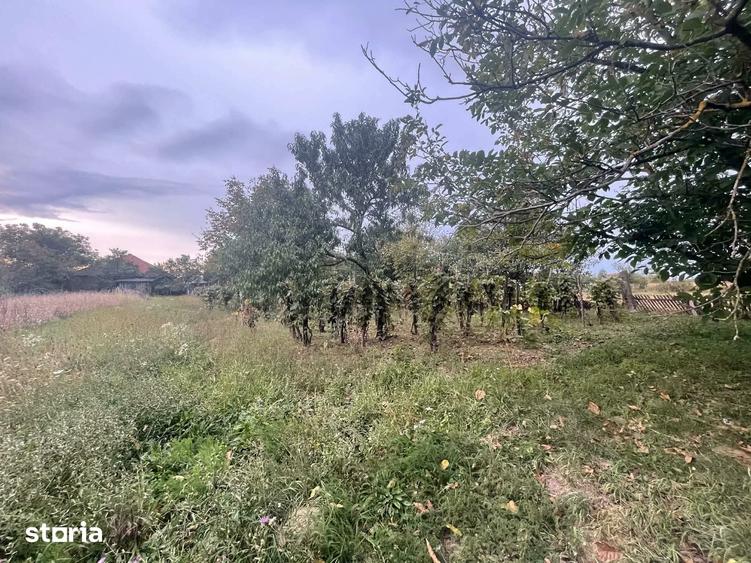 Casă cu 2 camere cu Teren 1930 Mp în Culciu