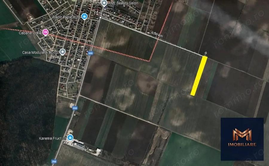 Teren de 7600 mp, în Dascălu