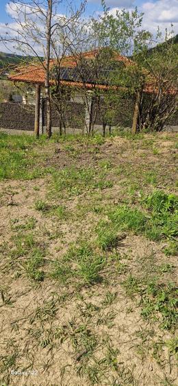 Teren de 1536 mp, în Ceuaș