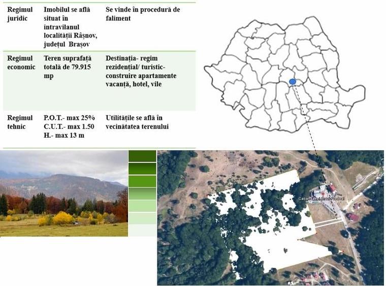 Teren Construcții intravilan de 80000 mp, în Vlădeț - Trei Brazi