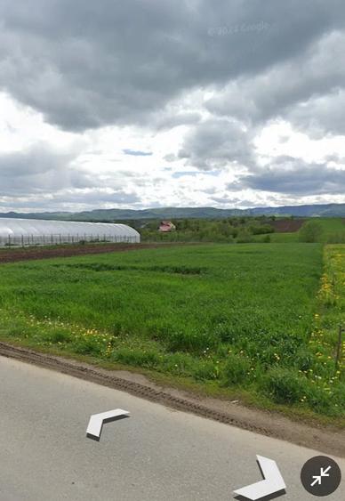 Teren de 3300 mp, în Botoș