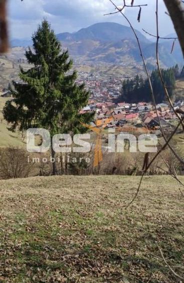 Teren 5000 mp, ideal cabana, pensiune, in zona de interes... - 4