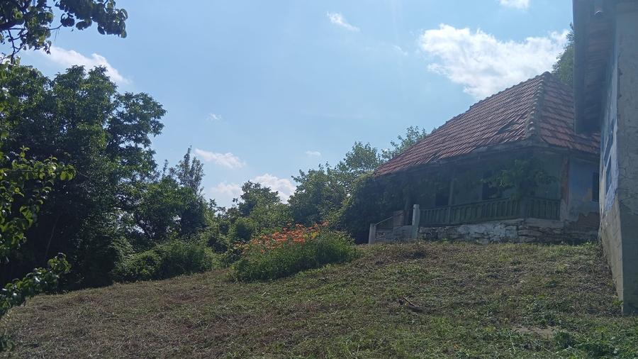 Casă individuală cu 5 camere cu Teren 9515 Mp în Șerbănești (Sălătrucel)