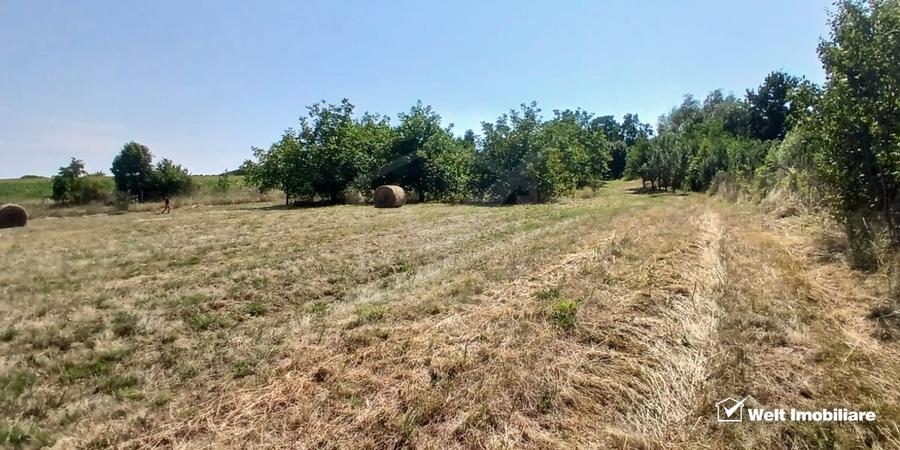 Casă individuală cu 3 camere cu Teren 1801 Mp în Comșești