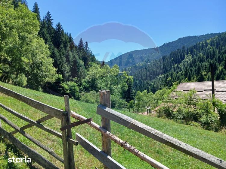 Teren de 1349 mp, în Tolstoi