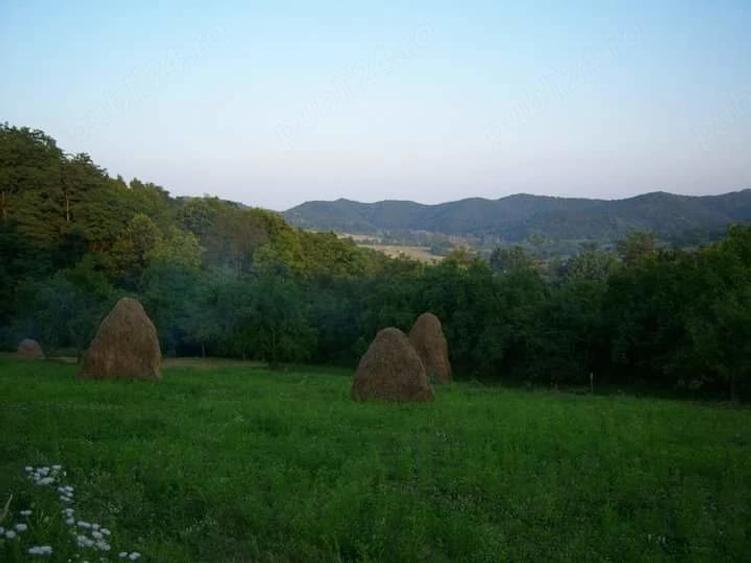 Teren de 7000 mp, în Valea Iașului