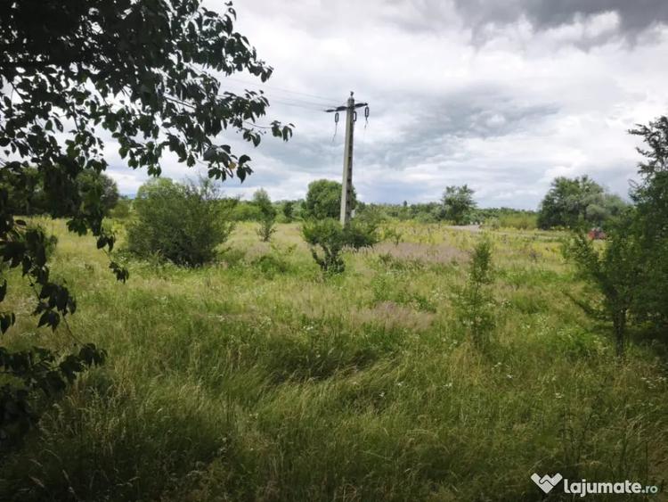 Teren intravilan 4594mp, deschidere 66ml, Galanesti, Radauti - 4