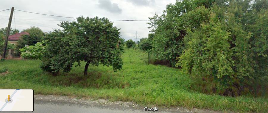 Teren Construcții intravilan de 12299 mp, în Țânțăreni