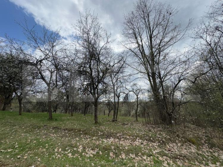 Casă cu 2 camere cu Teren 10000 Mp în Central