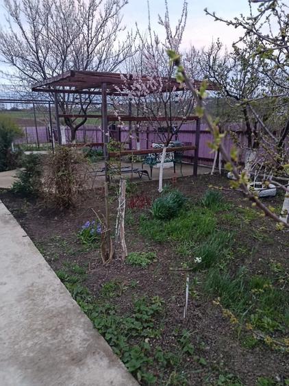 Casă cu 2 camere cu Teren 3868 Mp în Bârsănești