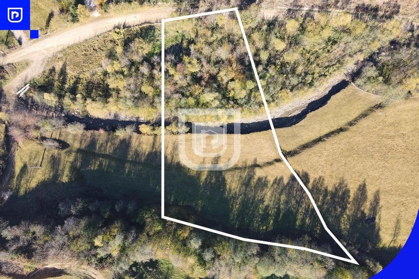 Teren Construcții extravilan de 5000 mp, în Vama