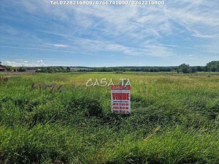 Teren Construcții intravilan de 3405 mp, în Preajba Mare