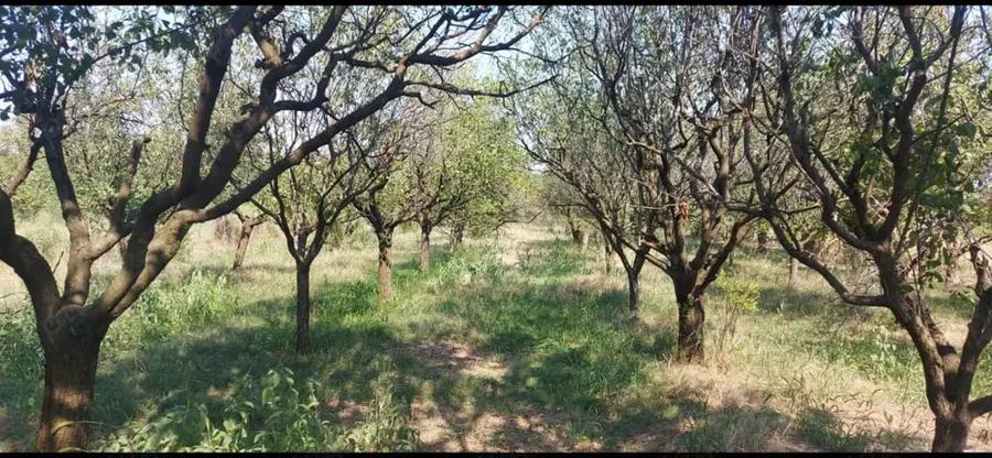 Teren de 6022 mp, în Ogrezeni