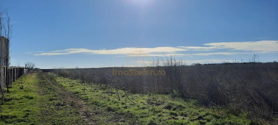Teren agricol intravilan de 7495 mp, în Est