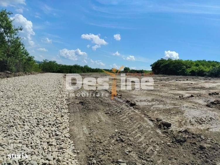 TEREN intravilan - PROSELNICI 655 MP, 19.900 EURO - 1