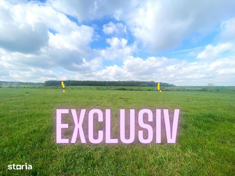 Teren de 4300 mp, în Sânmartin