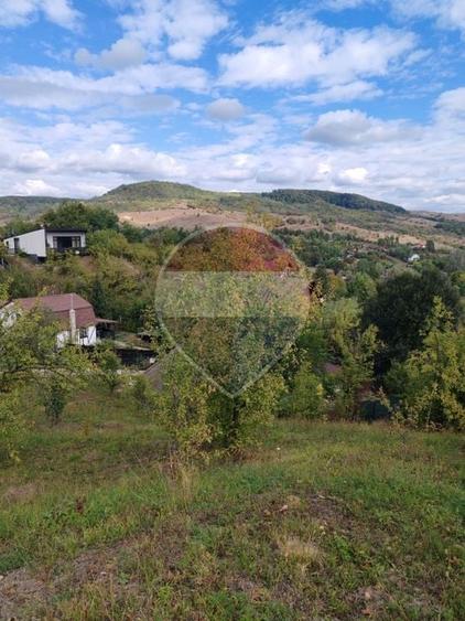 Teren Construcții intravilan de 5474 mp, în Provița de Jos