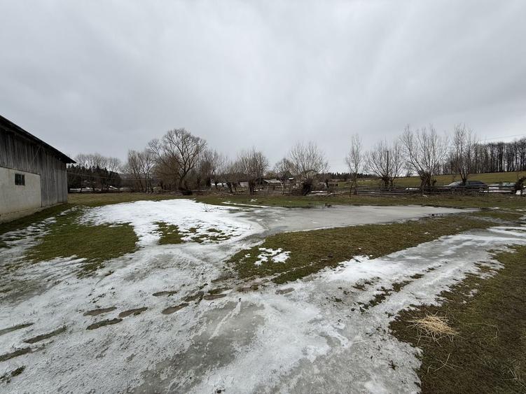 Teren agricol extravilan de 3600 mp, în Horodnic de Sus