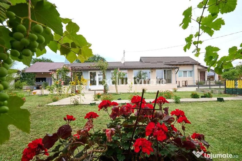 Casă cu 3 camere cu Teren 2881 Mp în Vedea