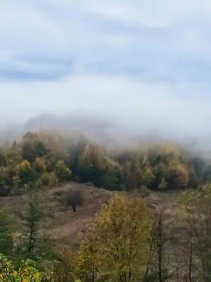 Teren intravilan de 1688 mp, în Sultanu