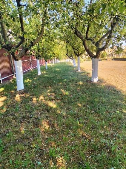 Casă individuală cu 10 camere cu Canalizare în Băile Felix