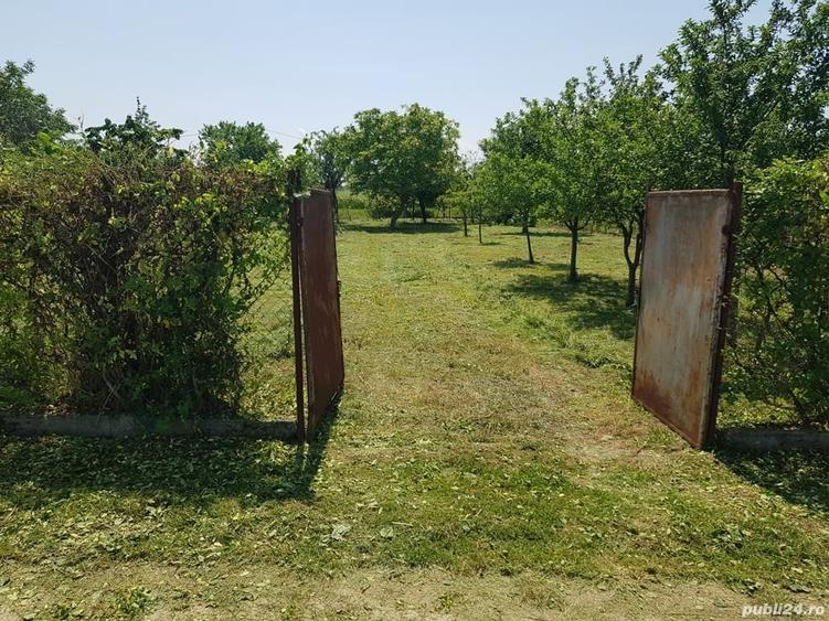 Teren de 600 mp, în Careiului