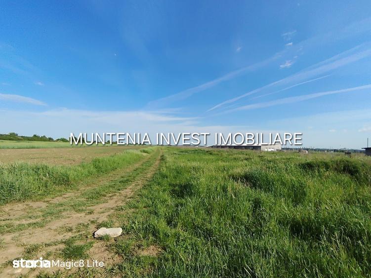 Teren de 11197 mp, în Moșoaia