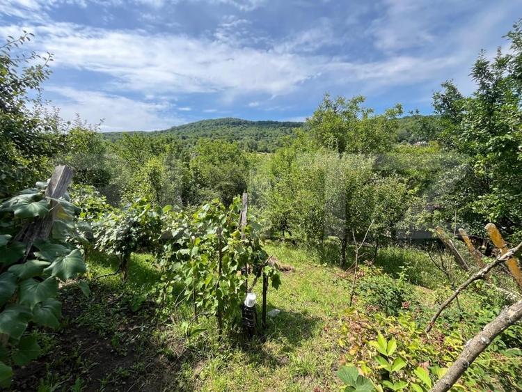 Teren Construcții intravilan de 1168 mp, în Ștefan cel Mare