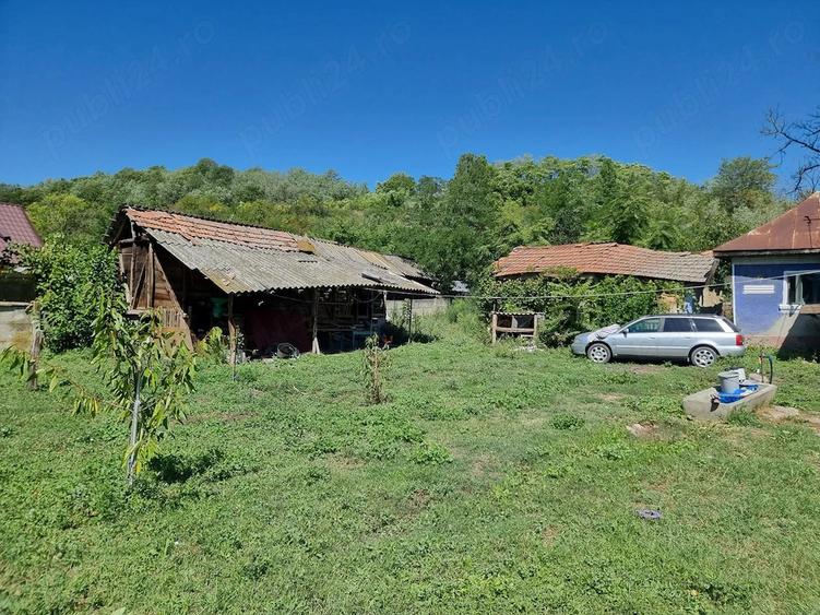 Casă cu Teren 1500 Mp în Grecești