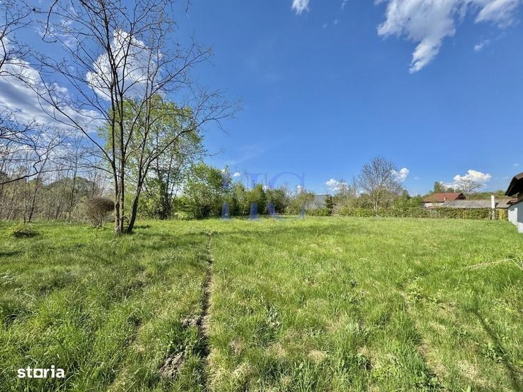 Teren de vanzare Valea Avrigului, jud. Sibiu | 1.600 mp - 9
