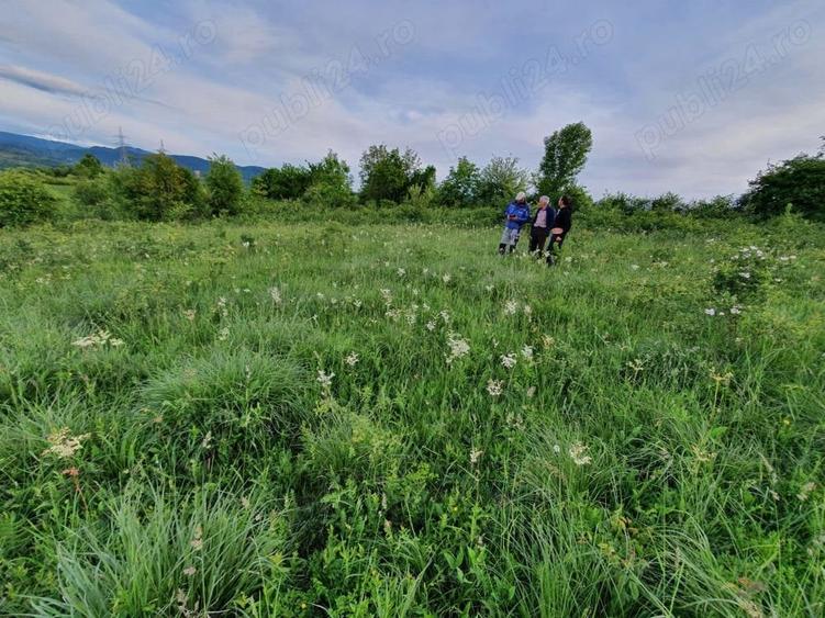 Teren de 8700 mp, în Calea Caransebeșului