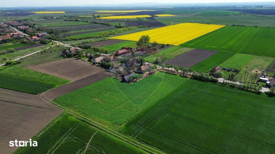 Casă cu 3 camere cu Teren 5000 Mp în Craidorolț