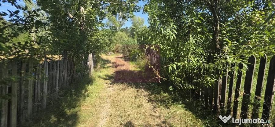 Teren intravilan de vanzare 3375 mp in Brebu - 6