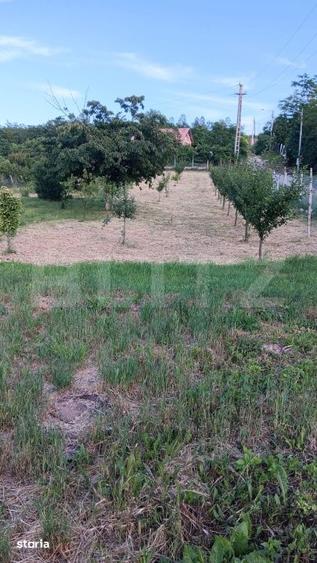 Casă cu 5 camere cu Teren 2877 Mp în Central