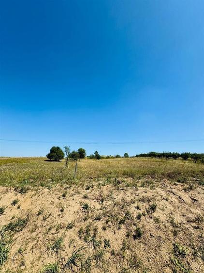 Teren intravilan de 5718 mp, în Băile Felix