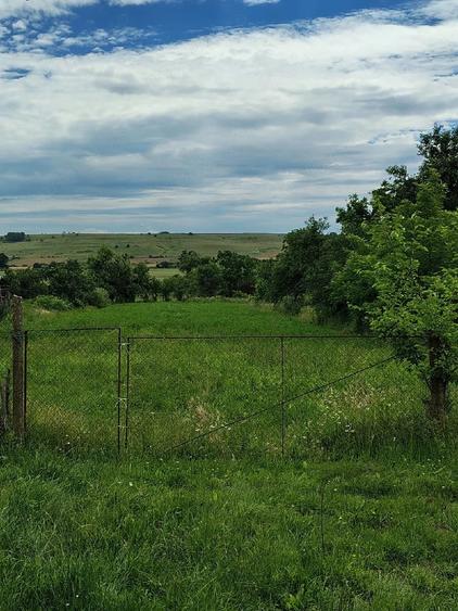 Teren de 3000 mp, în Secaș