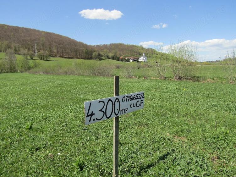 Teren de 4300 mp, în Valea Mare