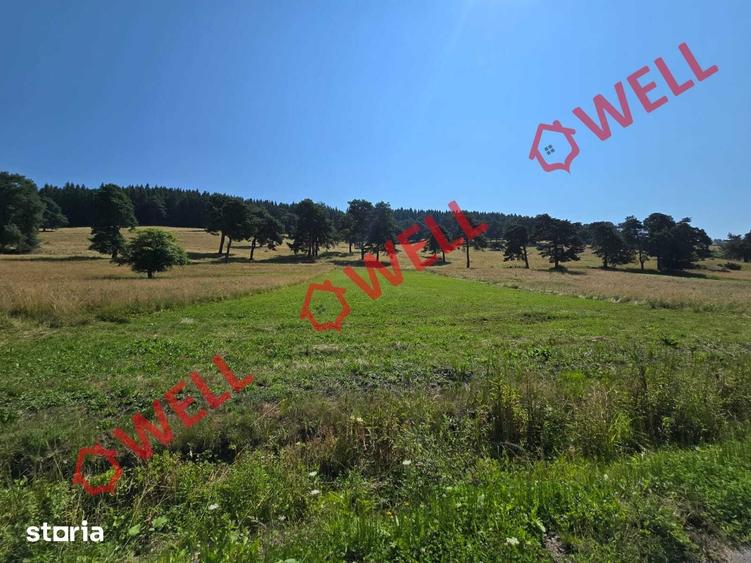 Teren de 3450 mp, în Valea Mare