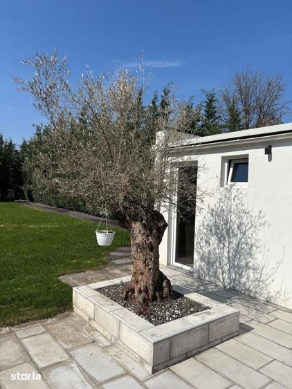 Casă cu 4 camere cu Teren 1150 Mp în Lunei